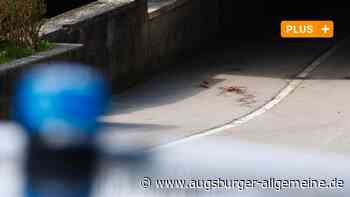 Arm in Waschmaschine abgerissen: Die furchtbare Kindheit des Angeklagten