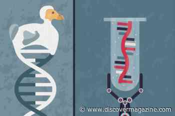 Scientists Might Bring Back These 7 Extinct Animals