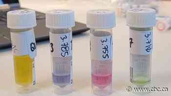 'We are so incredibly relieved': Toronto's drug checking pilot gets greenlight to expand