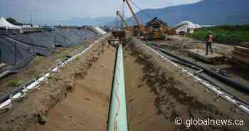 Pembina Pipeline CEO needs certainty on Trans Mountain before considering an offer