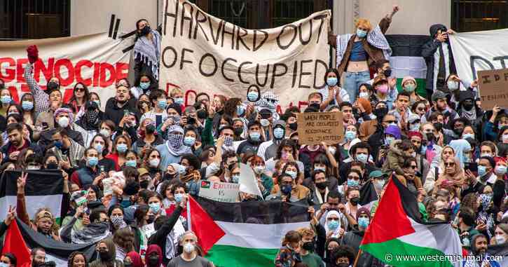 Ivy League Schools Allowing Students to Rally Against Israel Get Brutal Notice - Top Law Firms Are About to Take Action