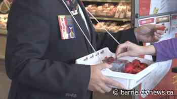 Poppy campaign volunteer shortage threatens support for veterans