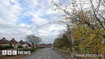 Brick attack leaves police cars damaged