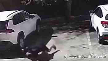 Video: Retired MMA fighter Javier Baez fights off man with knife in Cutler Bay