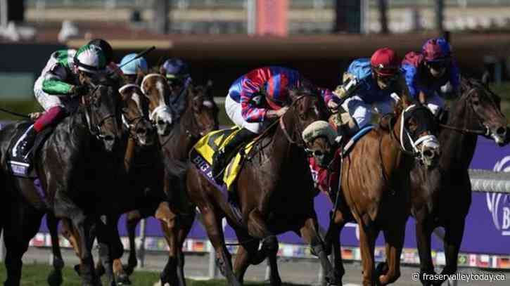 16-1 shot Fierceness wins Breeders’ Cup Juvenile for trainer Todd Pletcher
