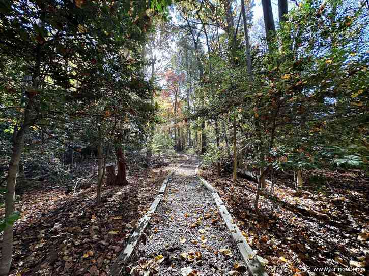 ARLnow Daily Debrief for Nov 3, 2023