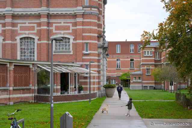 BUURTREPORTAGE. Het Groen Kwartier als voorbeeld voor Stuivenbergsite: “Een stukje Berlijn in Antwerpen”