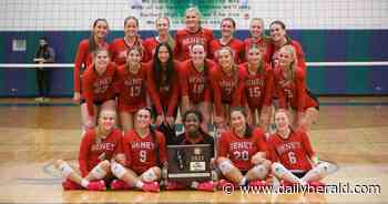 Girls volleyball: Stasys helps power Benet back to state