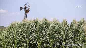 Von der Steueroase Bermuda in die Schweiz: Der Agrarhändler Bunge verlegt seinen Firmensitz wegen – oder trotz – der globalen Mindeststeuer