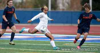 Boys soccer: Crystal Lake South defeats Rochester to reach Class 2A state championship