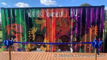 Taraji P. Henson helps launch new mental health campaign on Hampton University's campus