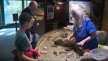 New 'Wild Care Center' promises a behind-the-scenes look at Virginia Living Museum's veterinary work