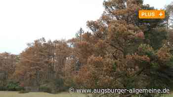Der Klimawandel rollt mit Wucht auf Augsburg zu