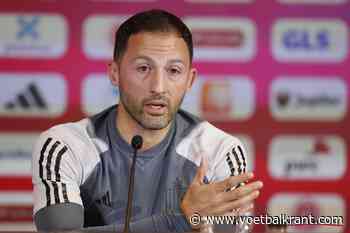 Domenico Tedesco heeft duidelijke mening over mogelijke terugkeer van Toby Alderweireld naar Rode Duivels