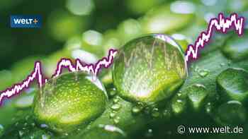 Amerika große Wasserstoff-Wette – diese Aktien sollten Anleger jetzt im Blick haben