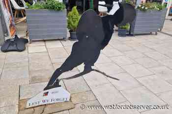 'Police investigating St Albans Road Tommy vandalisation'