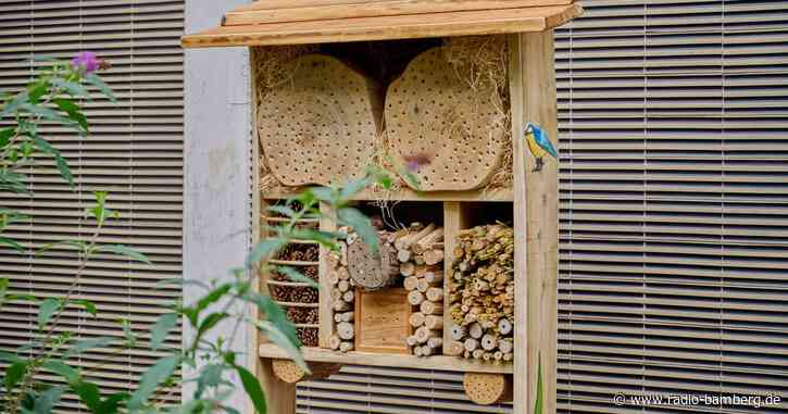 Schulgarten wird zu Lehrgarten