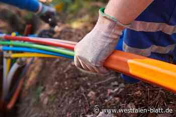 Preußisch Oldendorf: Vorerst keine Glasfaseranschlüsse nach Aufgrabungsverbot