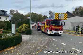 Mehrere Einsätze an einem Tag für die Feuerwehr Borchen
