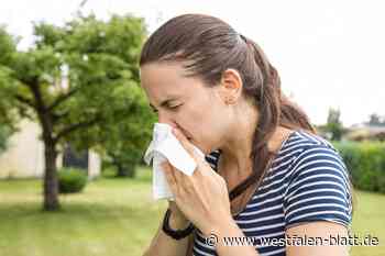 Frau mit Heuschnupfen darf nicht zur Bundespolizei