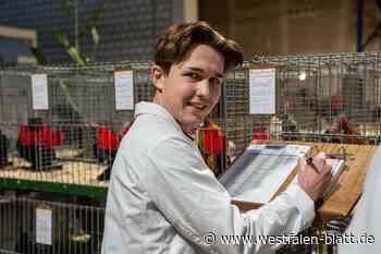 Lübbecke: Bezirksschau der Rassegeflügelzüchter läuft