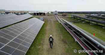 How Alberta became a green energy leader then squandered it