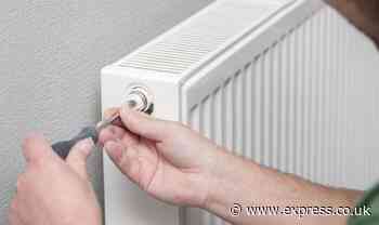'I'm a heating expert - this simple radiator hack will heat homes faster and reduce bills'