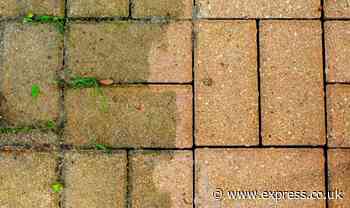 ‘Dirty’ patios reduce house value by 20% - use 29p common item to ‘effectively’ clean them