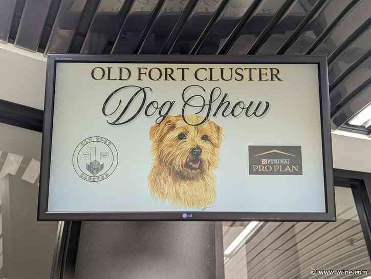 LOOK: Northeastern Indiana Kennel Club hosts Old Fort Cluster Dog Show