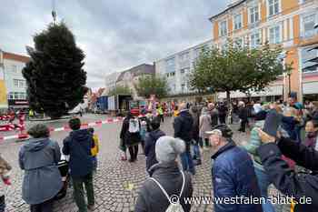 Herforder Weihnachtsbaum sorgt für Aufsehen