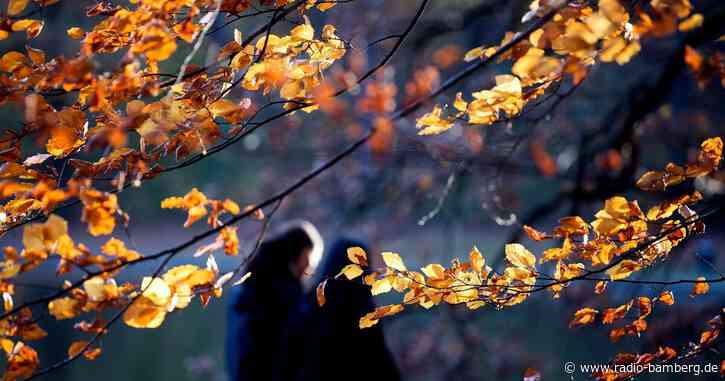 Sturmböen und milde Temperaturen in Bayern