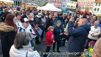 Sonntag ist Gänsemarkt und verkaufsoffen in Helmstedt