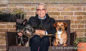 'I'm 81 but rake in thousands extra with this one-hour job that I love'