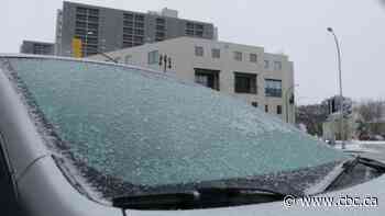 Southern Manitoba could see freezing rain, snow Sunday: Environment Canada