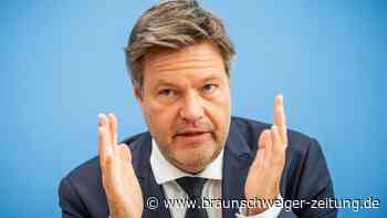 Habeck teilt Israels Kriegsziel: Hamas muss zerstört werden