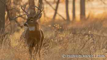 Firearm deer hunting season kicks off Saturday