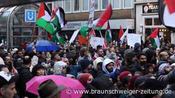 Rund 17 000 Teilnehmer bei propalästinensischer Demo in Düsseldorf