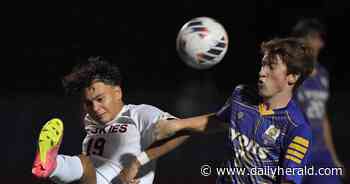 Boys soccer: Naperville North sends seniors out with third-place state finish