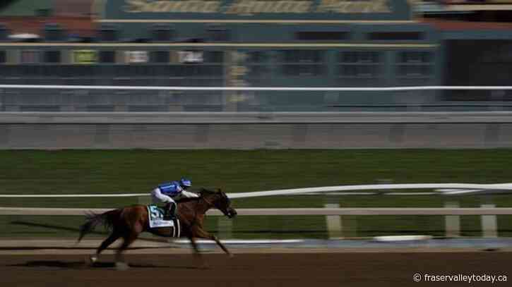 Cody’s Wish ekes out a nose victory in Breeders’ Cup Dirt Mile after rivals bump in the stretch