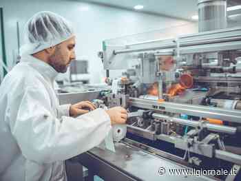 "Il regolamento Ue sugli imballaggi aumenta l'inquinamento". Appello al Governo Meloni