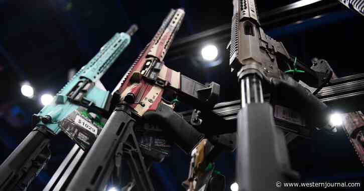 US Supreme Court Agrees to Hear Landmark NRA Free Speech Case Backed by 18 States