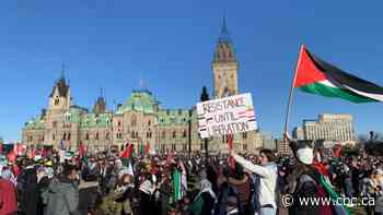 Pro-Palestinian marches held across Canada, the world