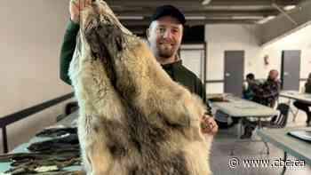 Trapping course aims to teach participants ethics, respect in capturing animals