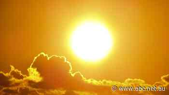 Billionaire's $30 billion renewables project announces plan for cable plant