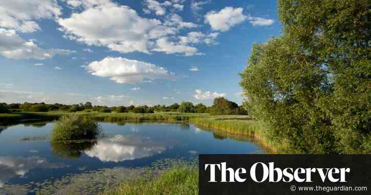 ‘A game-changer’: the 9,000 acre project reclaiming the Fens for nature
