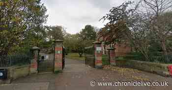 Hebburn park bee farm and education centre plans given green light