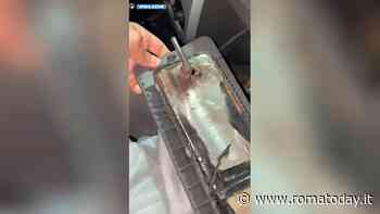 VIDEO | Ecco come il figlio dell'attore romano nascondeva 3000 dosi di cocaina