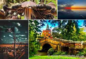 Wirral Camera Club photographers capture the beauty of Wirral