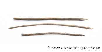 Neanderthals Killed a Cave Lion 48,000 Years Ago, and Scientists Know How