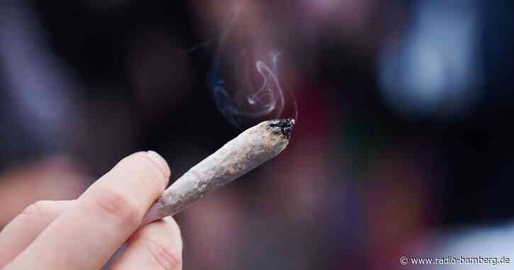 Umstrittene Cannabis-Freigabe: Experten nehmen Stellung